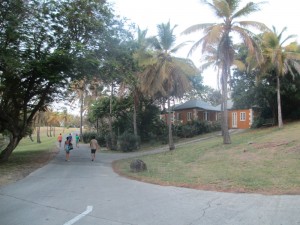 Mustique island (28)m
